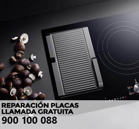 Reparación averías placa de cocción Castor